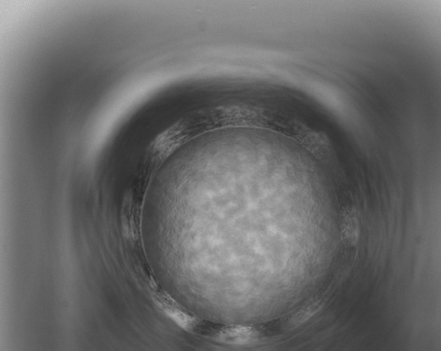 X0000080150431200612151835