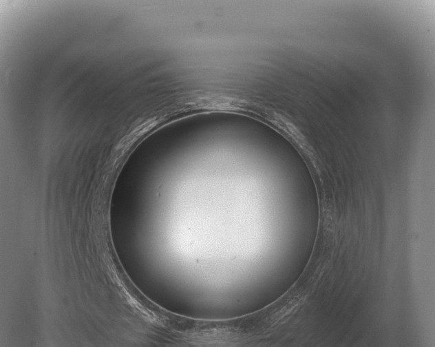 X0000080150433200612151834