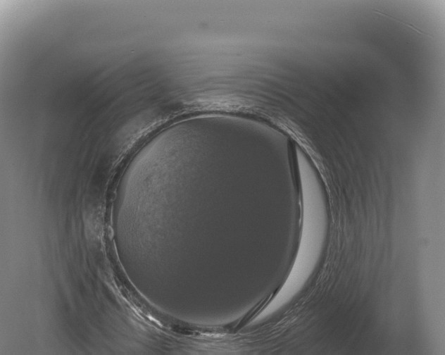 X0000080150434200612151834