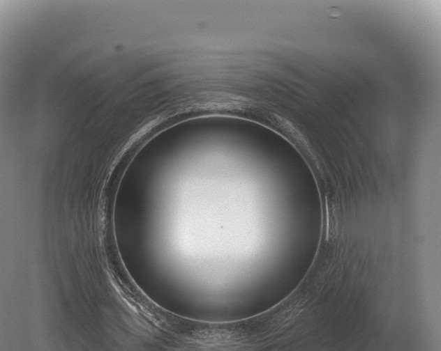 X0000080150435200612151834