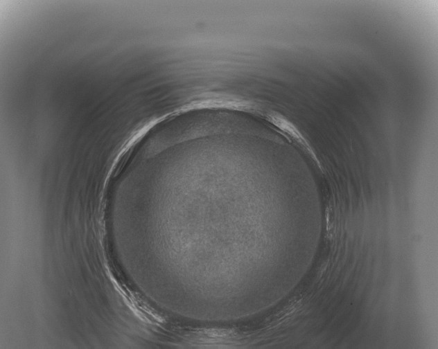 X0000080150436200612151834