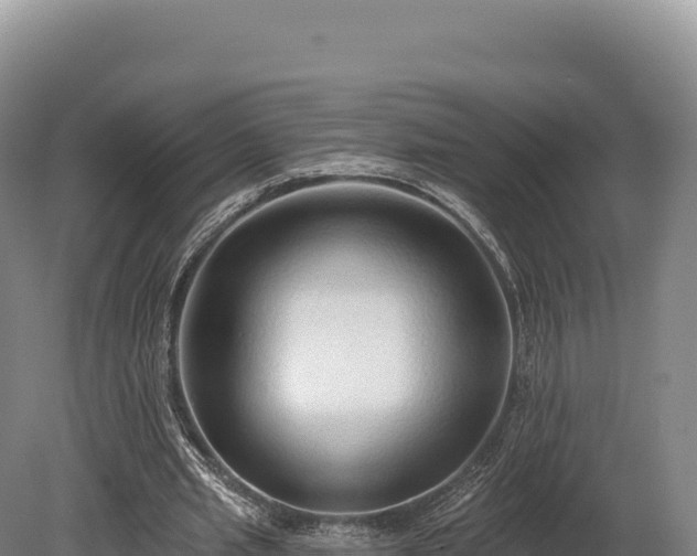 X0000080150437200612151834