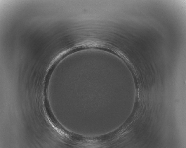 X0000080150438200612151834