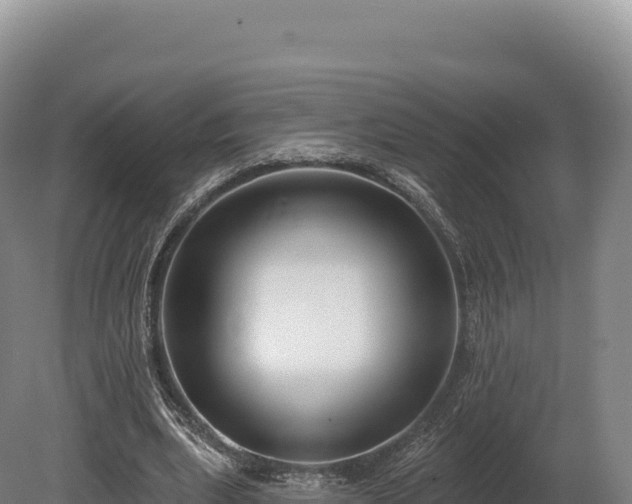 X0000080150439200612151834