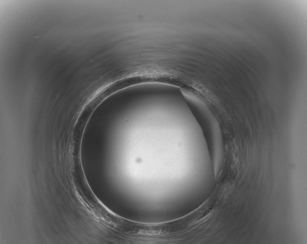 X0000080150440200612151834