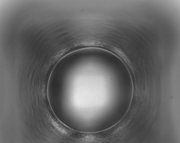 X0000080150441200612151834