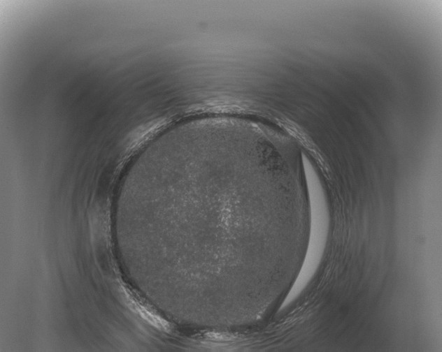 X0000080150442200612151834