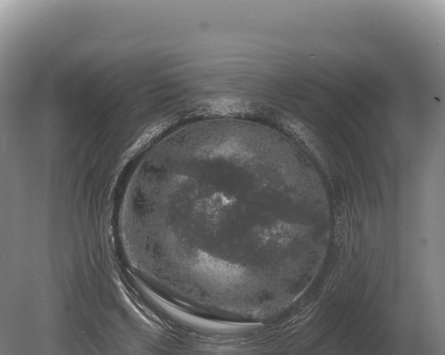 X0000080150443200612151834