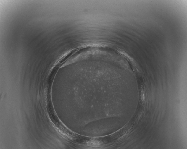 X0000080150444200612151834