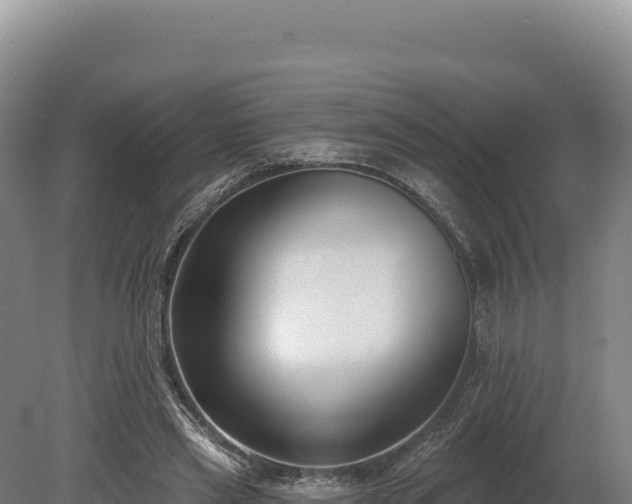 X0000080150445200612151834