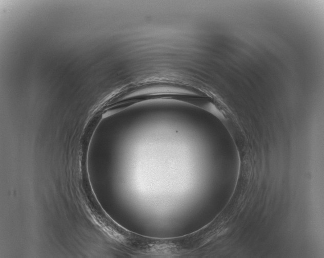 X0000080150446200612151834