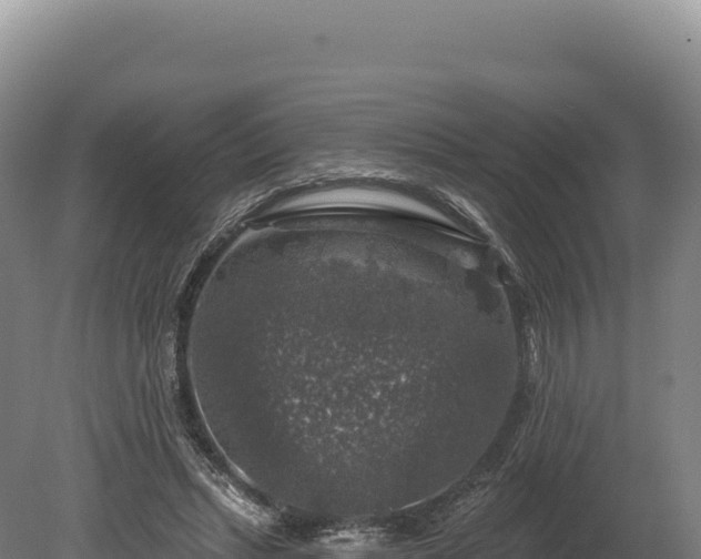 X0000080150447200612151834