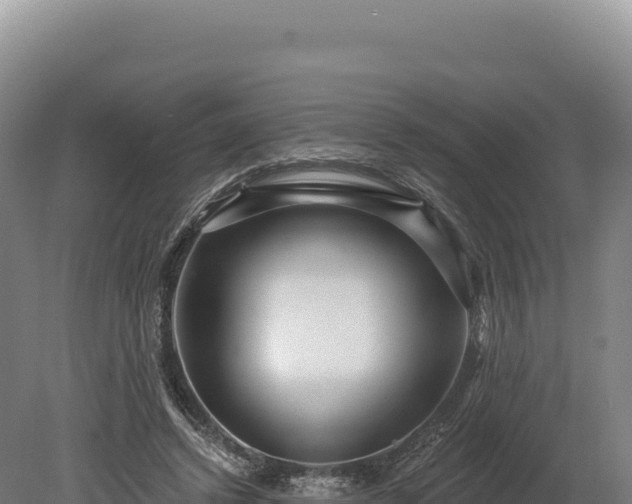 X0000080150448200612151834