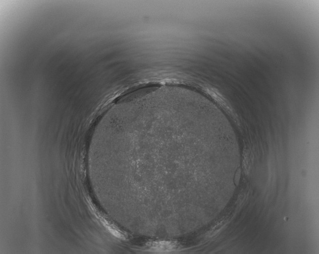 X0000080150449200612151834