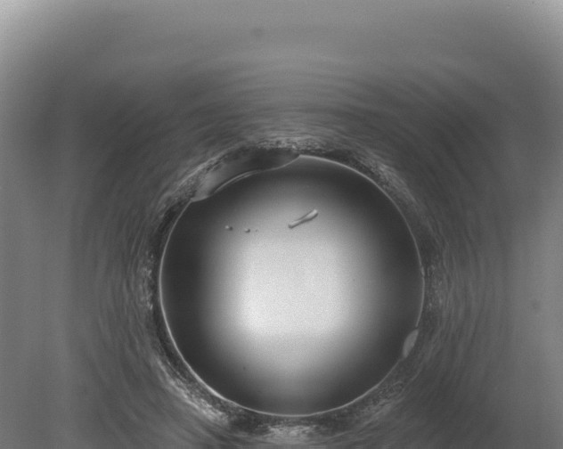 X0000080150450200612151834