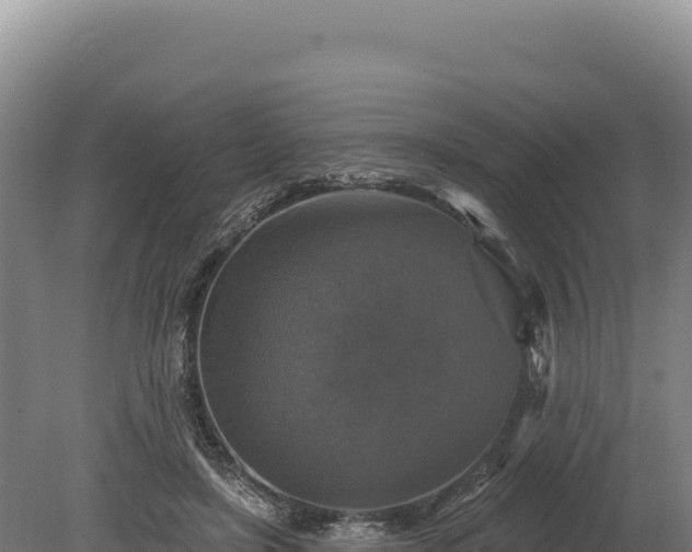 X0000080150451200612151834