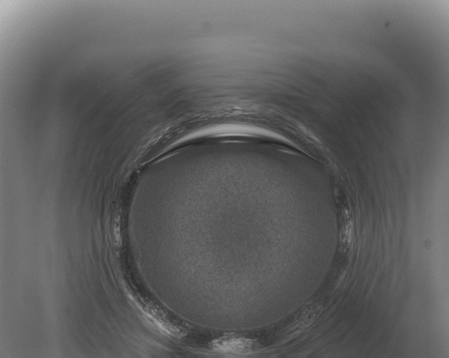 X0000080150452200612151834