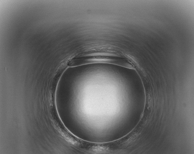 X0000080150453200612151834