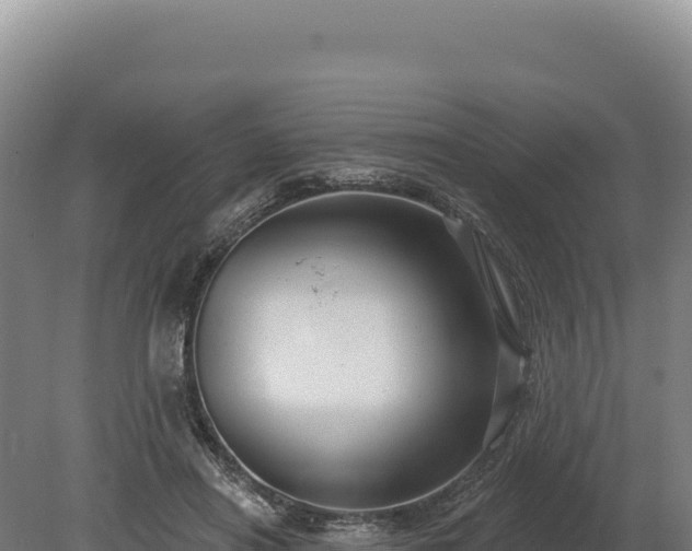 X0000080150454200612151834