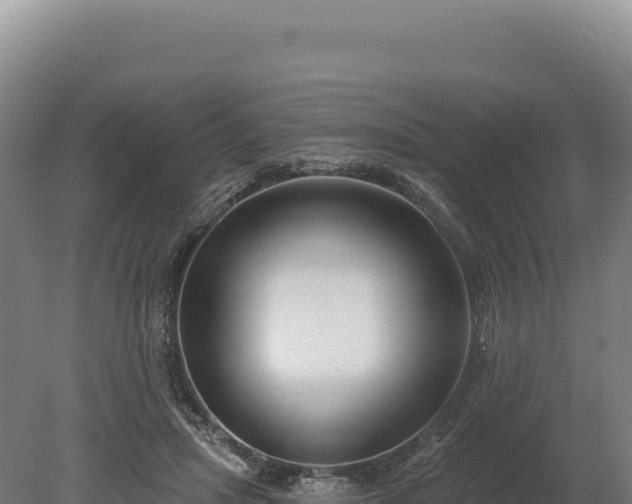 X0000080150455200612151834