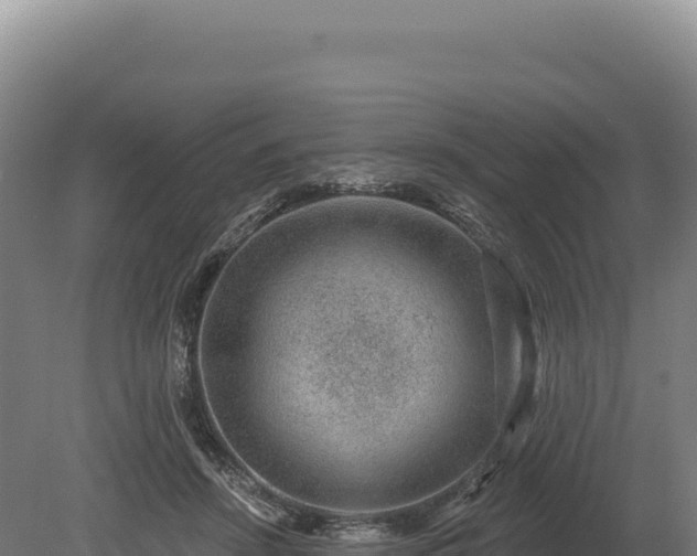 X0000080150456200612151834