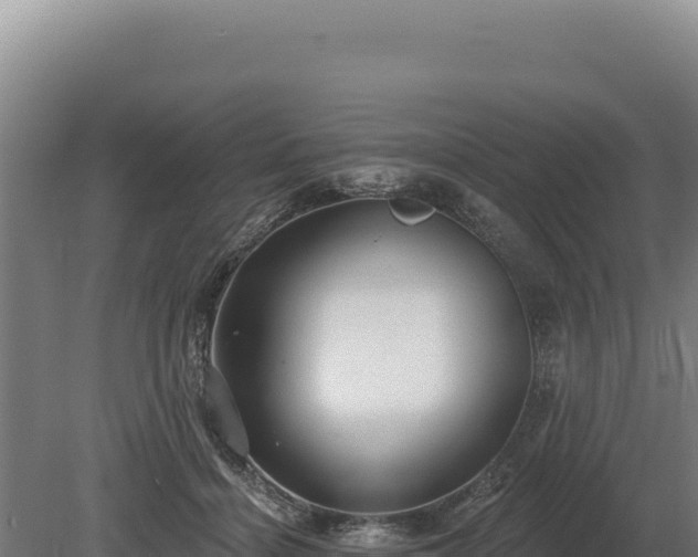 X0000080150460200612151834