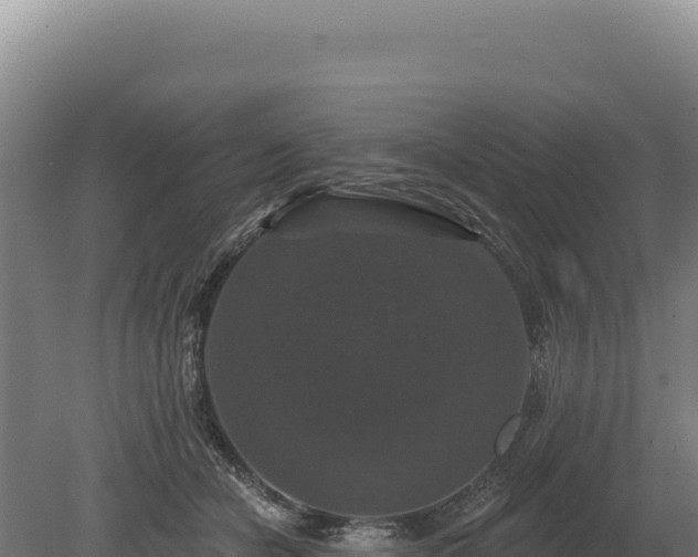 X0000080150462200612151834