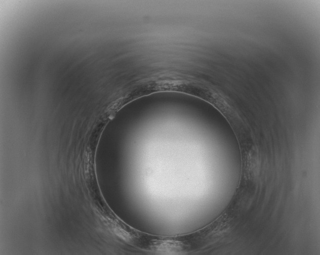 X0000080150463200612151834