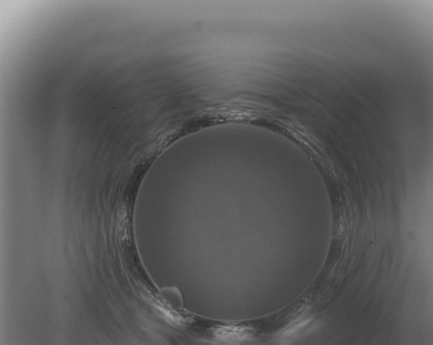 X0000080150465200612151835