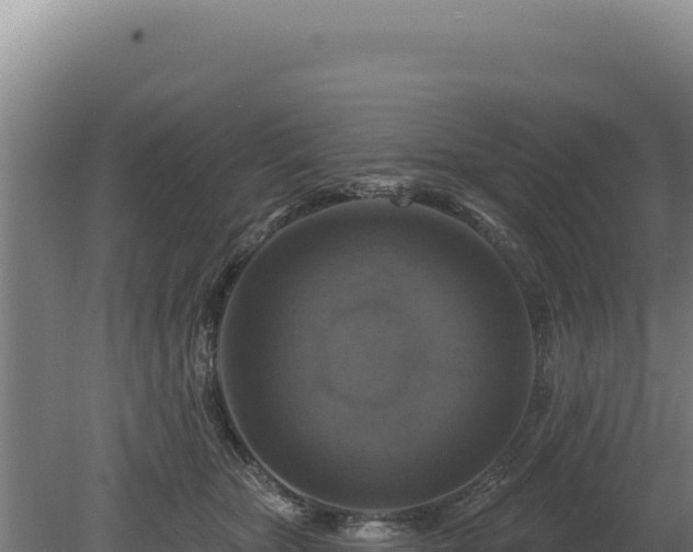 X0000080150467200612151835