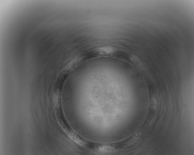 X0000080150468200612151835