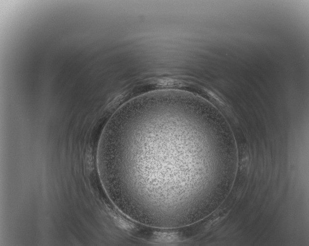 X0000080150469200612151835