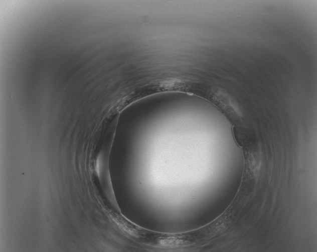 X0000080150470200612151835