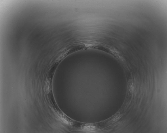 X0000080150471200612151835