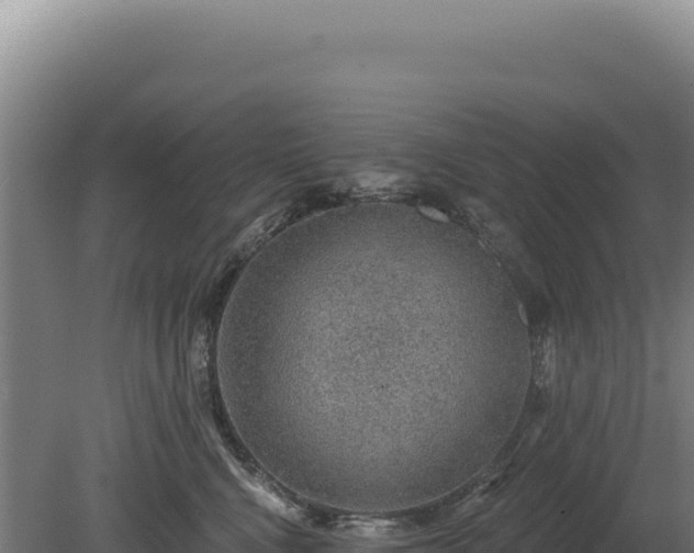 X0000080150472200612151835