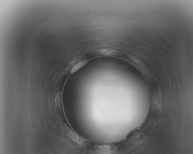 X0000080150473200612151835