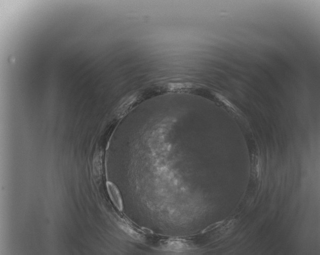 X0000080150475200612151835