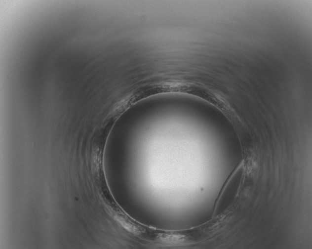 X0000080150476200612151835