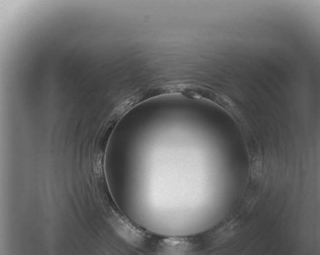 X0000080150477200612151835