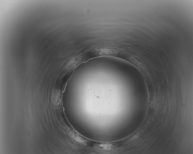 X0000080150478200612151835