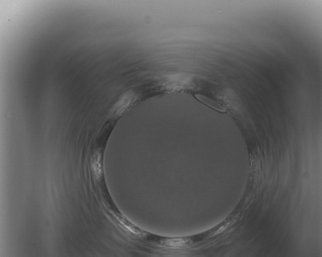 X0000080150479200612151835