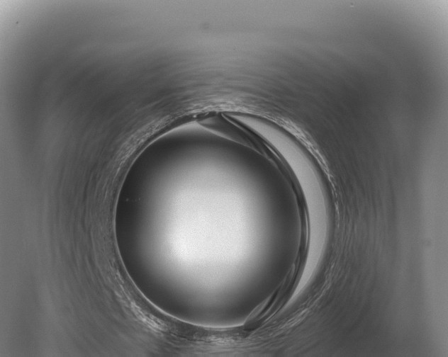 X0000080150481200612151834