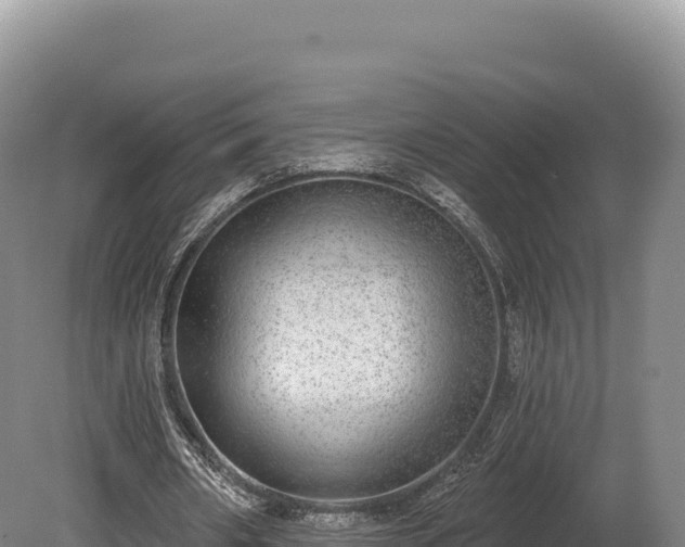 X0000080150482200612151834