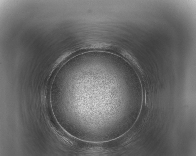 X0000080150483200612151834