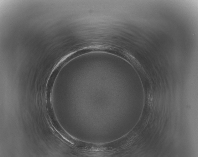 X0000080150484200612151834