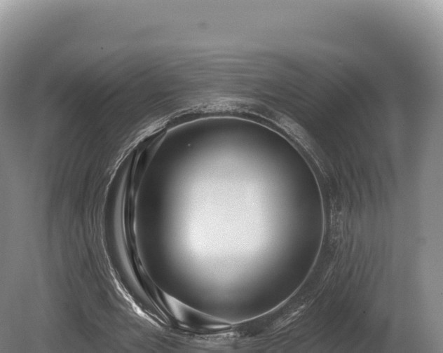 X0000080150485200612151834