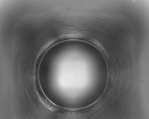 X0000080150486200612151834