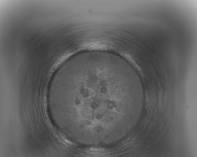 X0000080150487200612151834