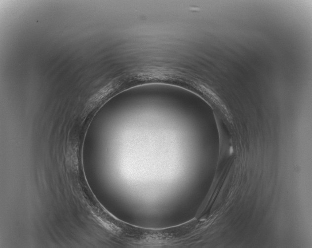 X0000080150489200612151834