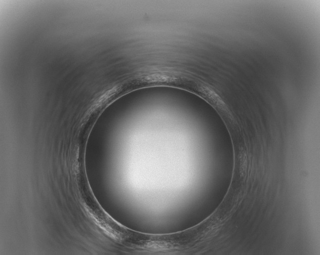 X0000080150490200612151834